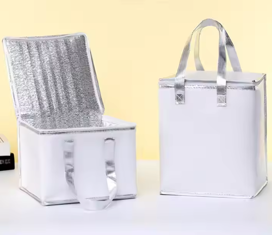 Logistics & Cold Chain Systems: Thermal Folding Boxes