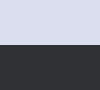 Color swatch showing light bluish gray and dark gray combination